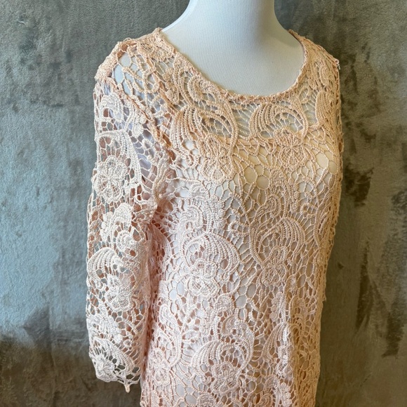 Romantic Rosette Coquette Lace Embroidered Elegant Pink Dress Sz 8 - Picture 3 of 12